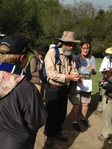 David Torfeh identifying plant