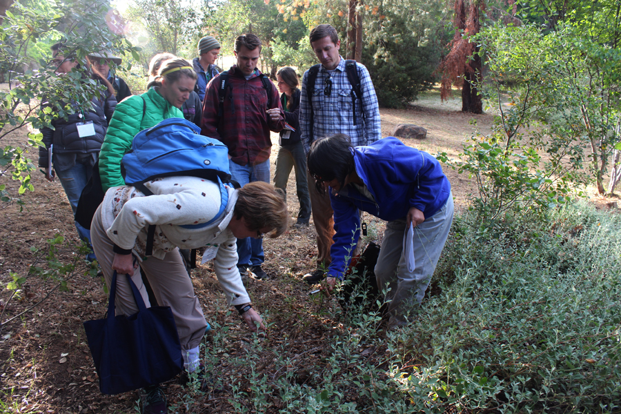 Students learning plant ID