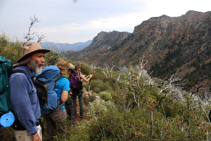 Group backpacking down Red Reef Trail