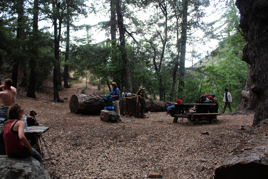 Ladybug Camp
