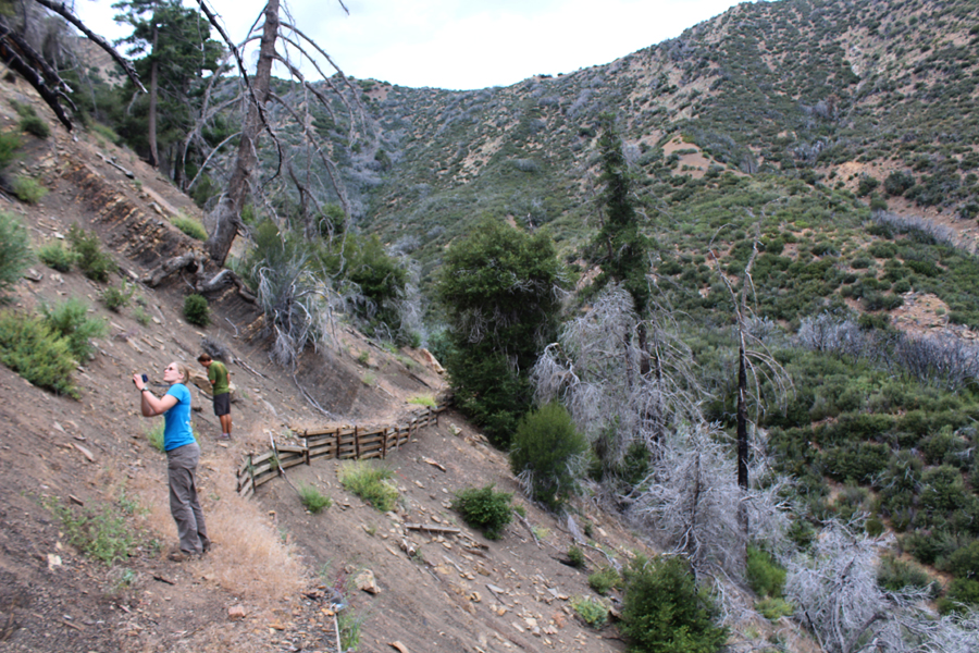 Looking for rare plants along Red Reef Trail