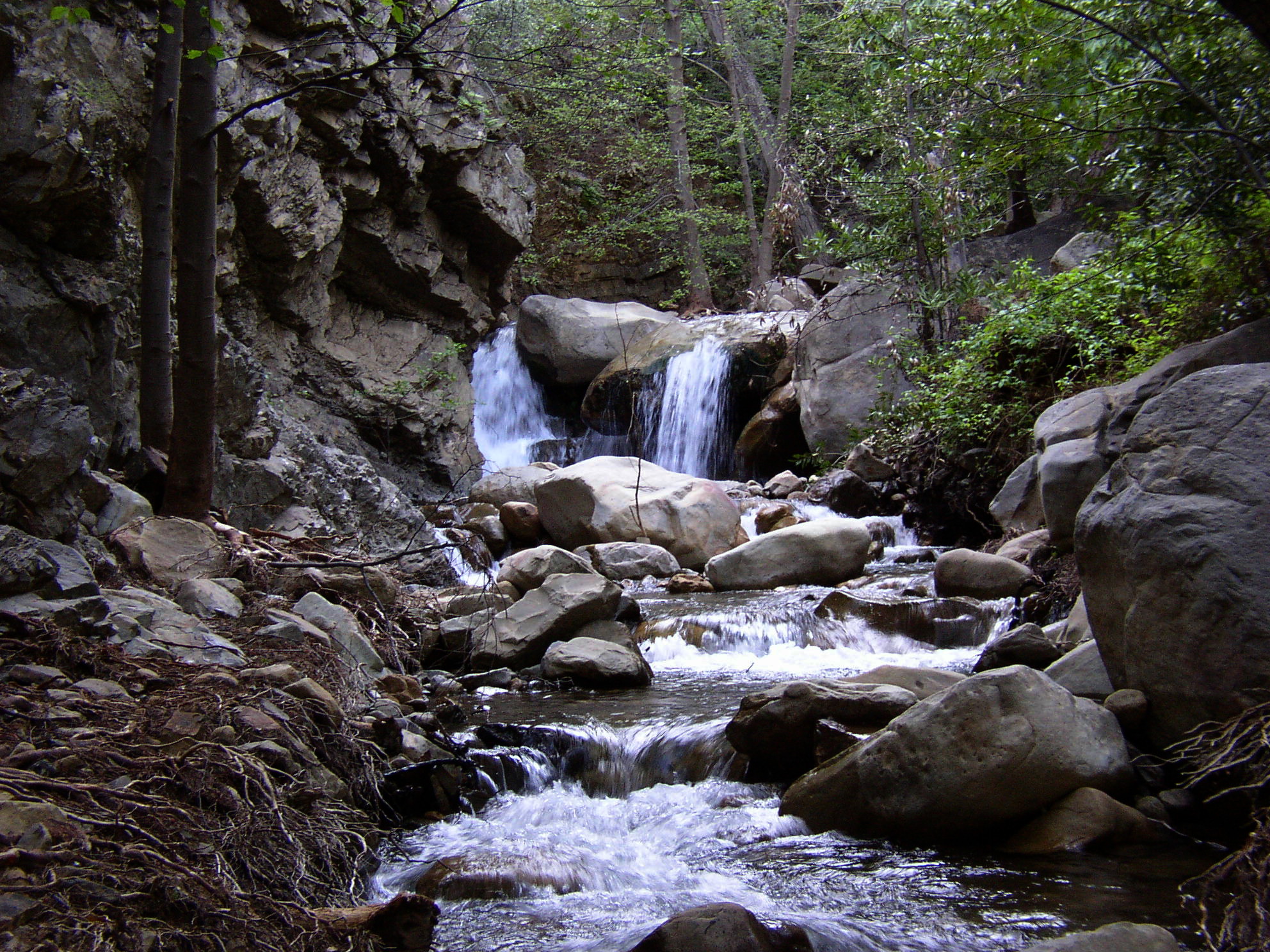 Sisar Creek