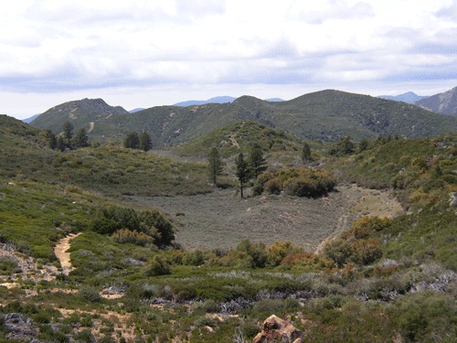 Dry Lakes Ridge Basin 1 in 2005