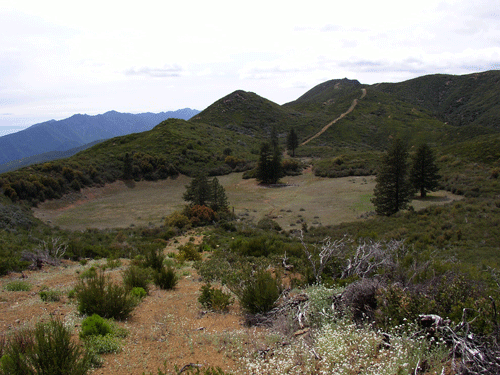 Dry Lakes Ridge Basin 3 in 2005