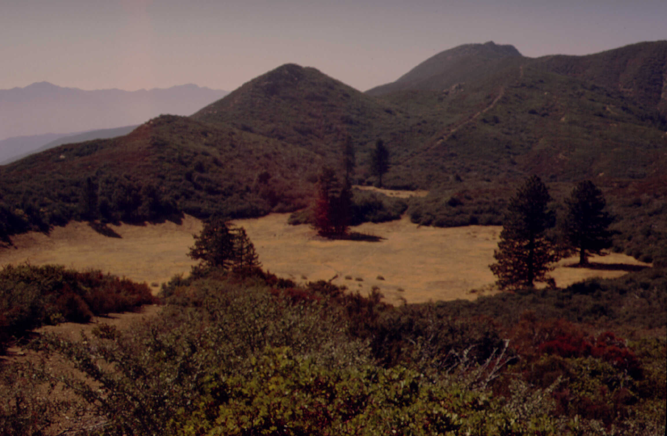 Dry Lakes Ridge Basin 3 in 2001
