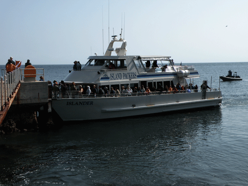 Island Packers boat
