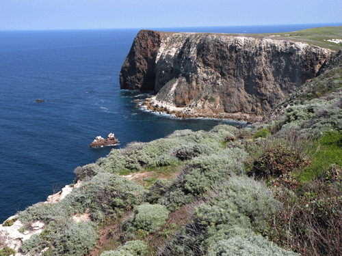 Santa Cruz Island sea cliff