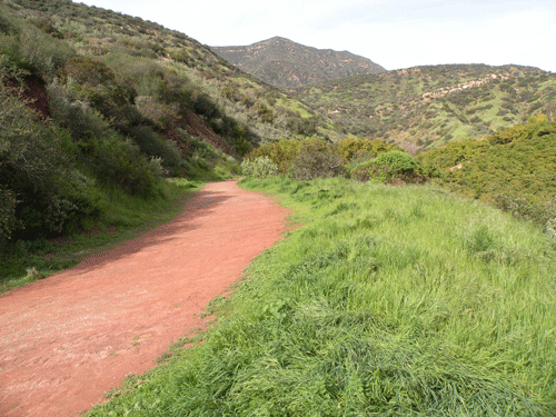 Shelf Road